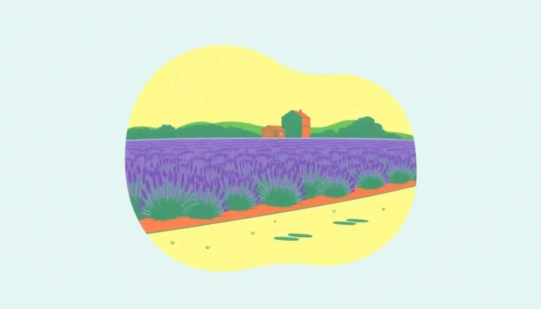 LAVENDER FARM BLOOMS AGAIN: SUMMER FUN NEAR HOUNSLOW